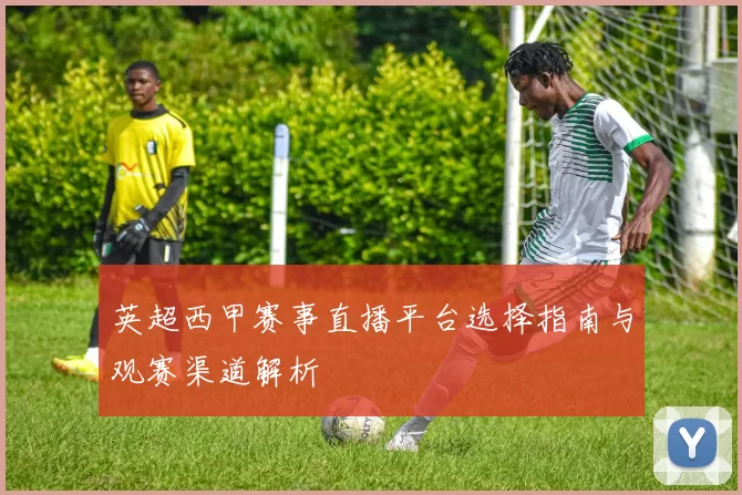 英超西甲赛事直播平台选择指南与观赛渠道解析