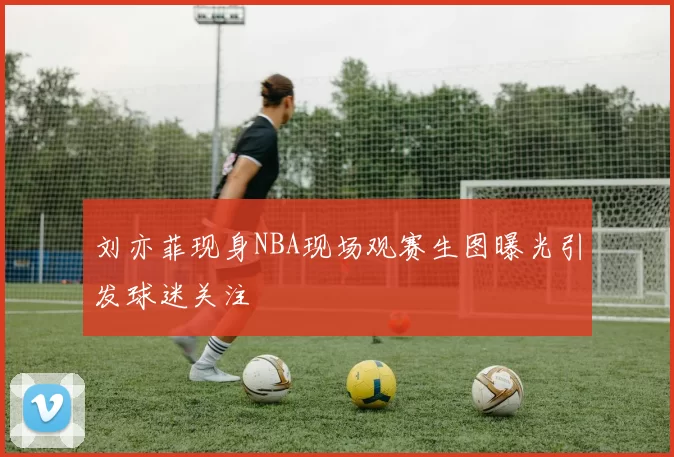 刘亦菲现身NBA现场观赛生图曝光引发球迷关注