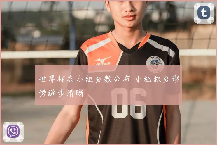 世界杯各小组分数公布 小组积分形势逐步清晰