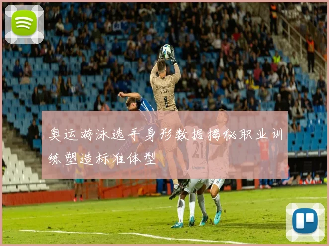 奥运游泳选手身形数据揭秘职业训练塑造标准体型