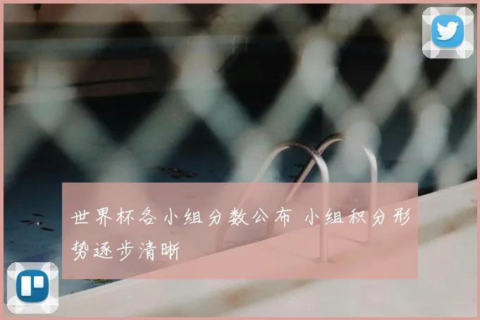 世界杯各小组分数公布 小组积分形势逐步清晰
