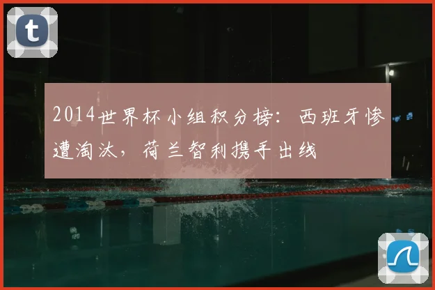 2014世界杯小组积分榜：西班牙惨遭淘汰，荷兰智利携手出线